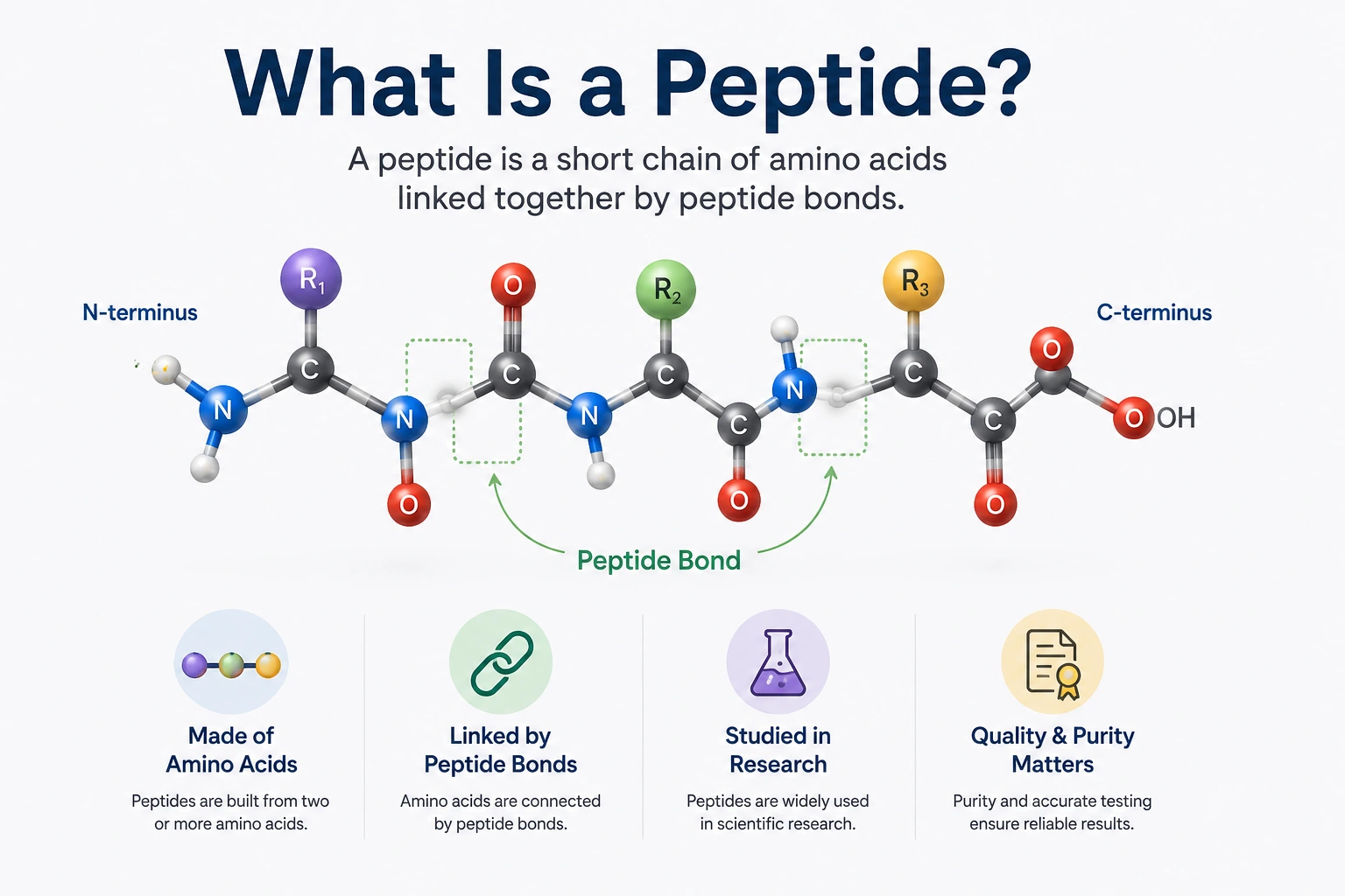 What Is a Peptide